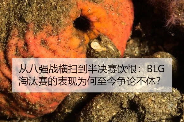从八强战横扫到半决赛饮恨：BLG淘汰赛的表现为何至今争论不休？